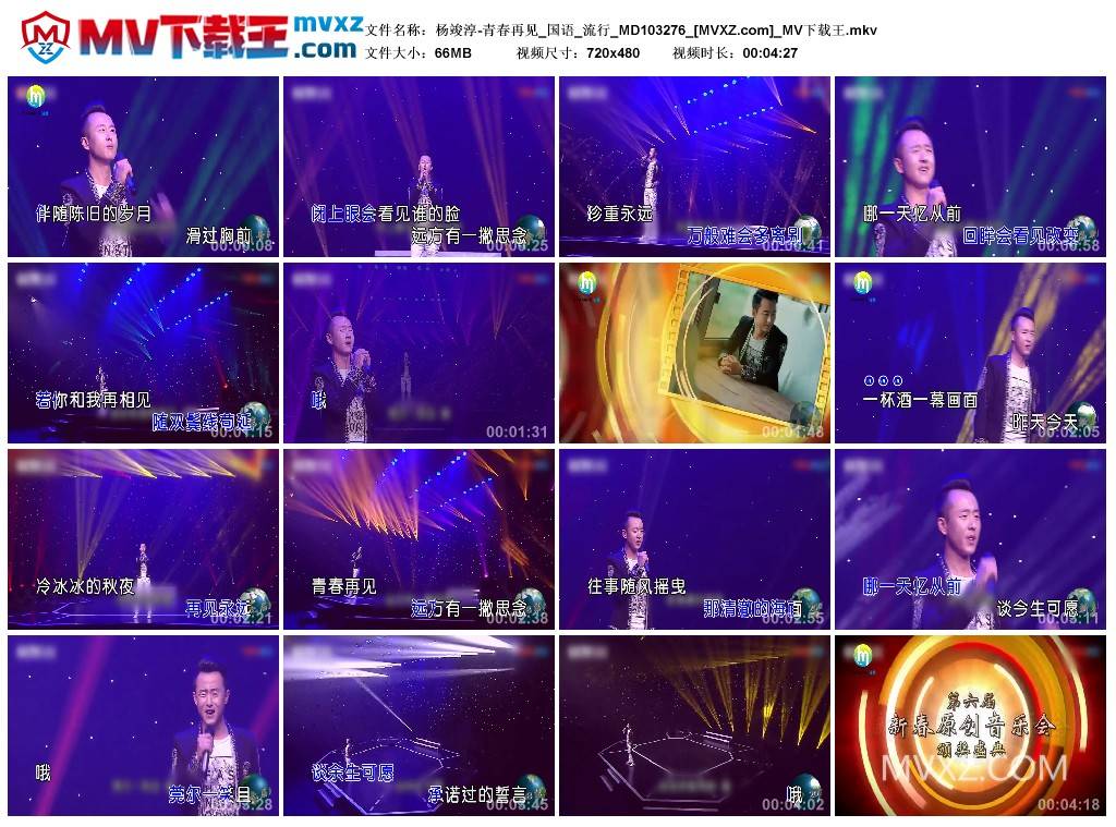 杨竣淳-青春再见_国语_流行_MD103276